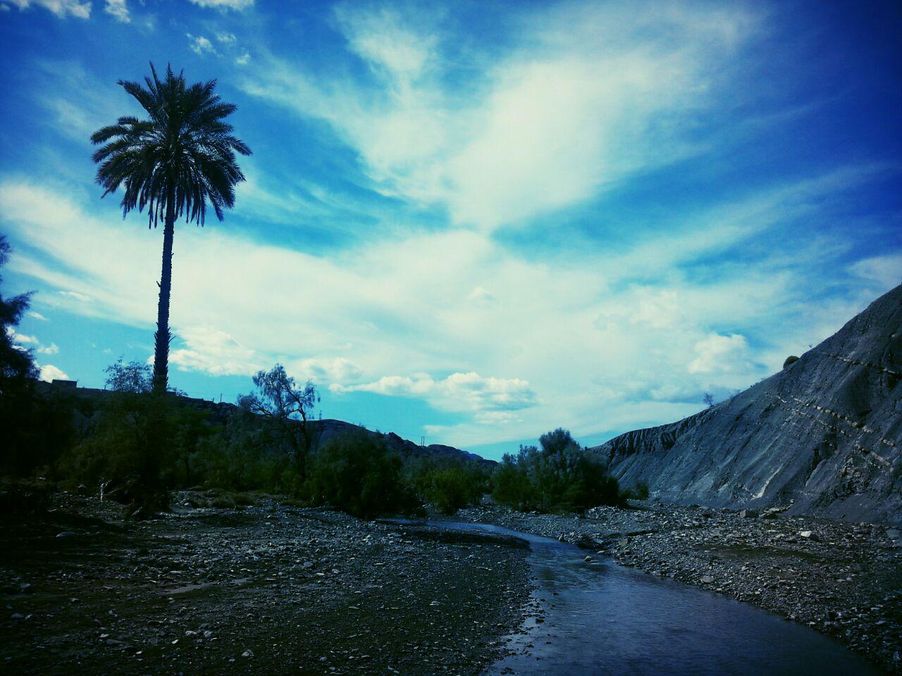 پروفایل